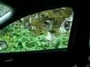 Driving