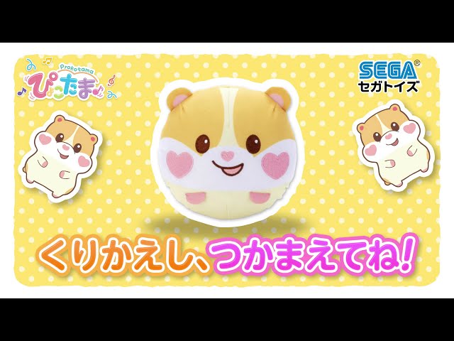 もっちまるず　ぴょこたま　新品 ぴょこたま♪ もっちまるず｜セガ フェイブ トイ製品情報公式