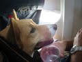 Oliver Airplane