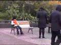 South Bank Benching