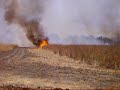 davis ca fire