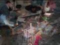 paraninfo faurb 2008_1