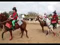 Elf Express - Horses dressed up for Christmas