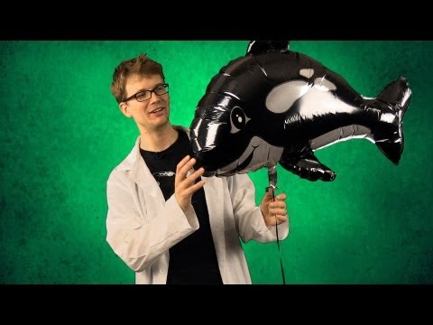 force - Hank continues his primer on the strongest of the four fundamental interactions of physics, the strong interaction. Today he talks about the nuclear force an...