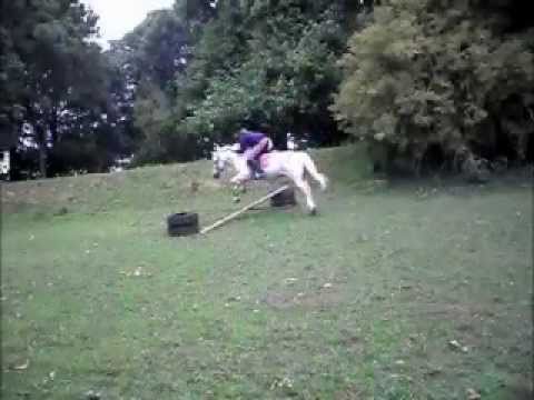 how to eliminate etg