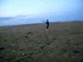 videos de Carl crashing