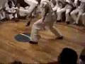 Mestre Doutor vs Professor Maranhao