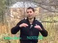 Il Lupo della Sila