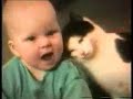 gatitos XD gatitos XD