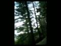 Haldon Hill Red Run