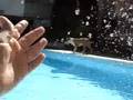 Snoopy na piscina :D