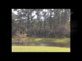 Stop Foreclosure Port St. Lucie