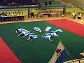 YJC wushu