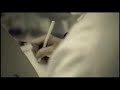 clip video Vulgaires Machins Dommage Collateral