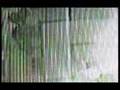Lao Che - Lirnik