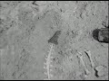 Top Secret Government Video!