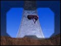 Thumbnail #2