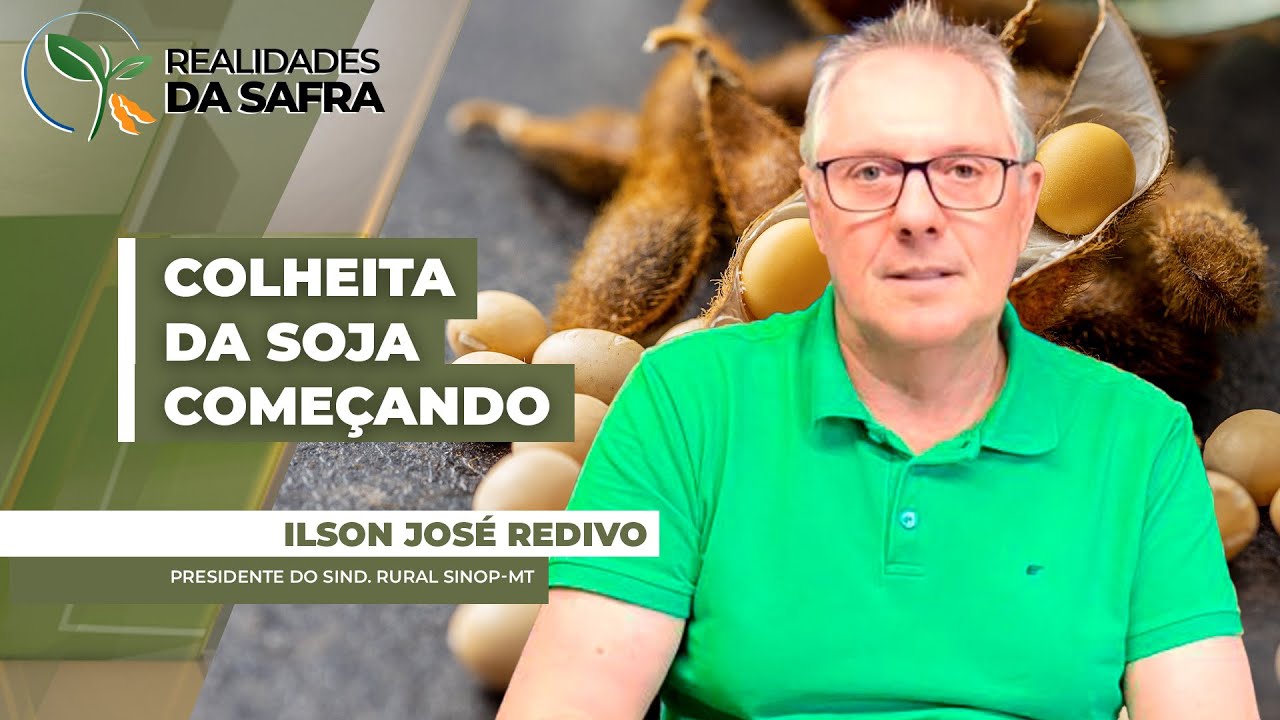 Colheita da soja está começando em Sinop/MT com boa expectativa de produtividade