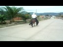 Caballo Onasis de la caba�a (II)