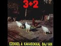 : Ezekkel A Kakasokkal Baj Van