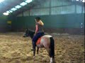 Paardje in actie!