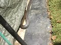 Schlange im Garten ^^ Schlange im Garten ^^