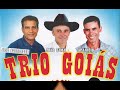 Jogo da Vida ou (Bicho Papão)