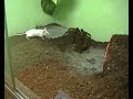 jejeje » solo los videos mas impactantes, graciosos, raros y divertidos de la red(2) jejeje » solo los videos mas impactantes, graciosos, raros y divertidos de la red(2)