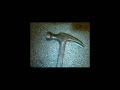 Click here to watch this video More Ning Eve Ning