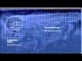 UFO at Bottom of Ocean?