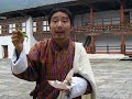 Bhutanese Betal Nut Commercial