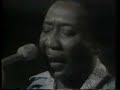 muddy-waters-buddy-guy-junior-wellshoochie-coochie-man-.html