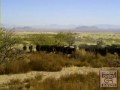 Cattle Drive Day 3 Nov 2009 Grapevine Canyon Ranch Pearce, Arizona