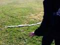 videos de Ghetto CrocidleHunter