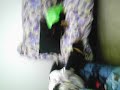 Jazire tryna do the spongebob Jazire tryna do the spongebob