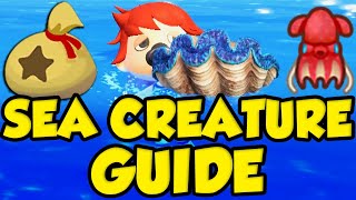 ANIMAL CROSSING NEW HORIZONS SEA CREATURE GUIDE! Animal Crossing Summer Update Money Making! by Verlisify