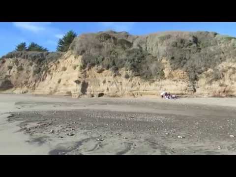 Video for Cove Beach at Ano Nuevo State Reserve