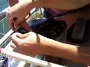 Catching A Fluke Catching A Fluke