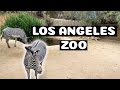 Los Angeles Zoo And Aquarium Tickets