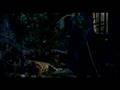 entre tinieblas- dark habits - Entre tinieblas Dark Habits Dark Hideout - Chus Lampreave - Flixster Video