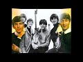 Ticket to Ride (1965) - The Beatles --- My Cover
