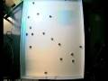 Swarm Robot Aggregation