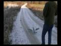 videos de Azze RC flight video Messerschmitt 2