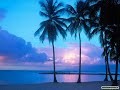Chillout on the beach
