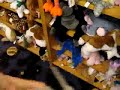 [Video]