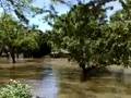Flood 2008, Normandy Drive, Iowa City