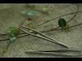 videos de Match To Live - Tweezers