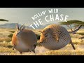 ROLLIN' SAFARI - 'The Chase' - Official Trailer ITFS 2013