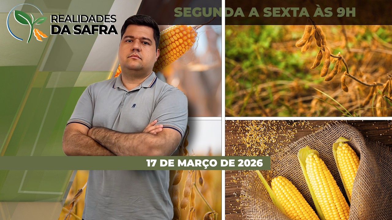 REALIDADES DA SAFRA - EDIÇÃO 17/03/2026