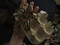 Pornata_handleabout_01stage3lo.wmv
